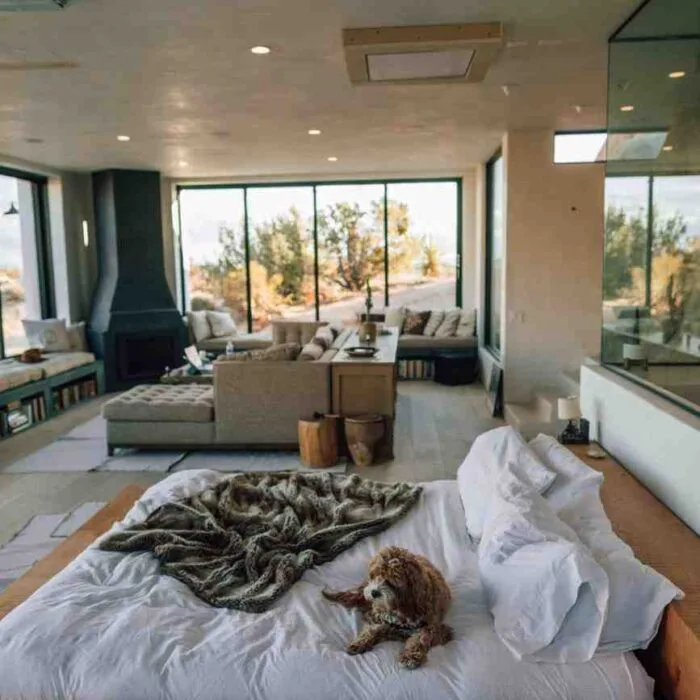 Interior Designing (3)